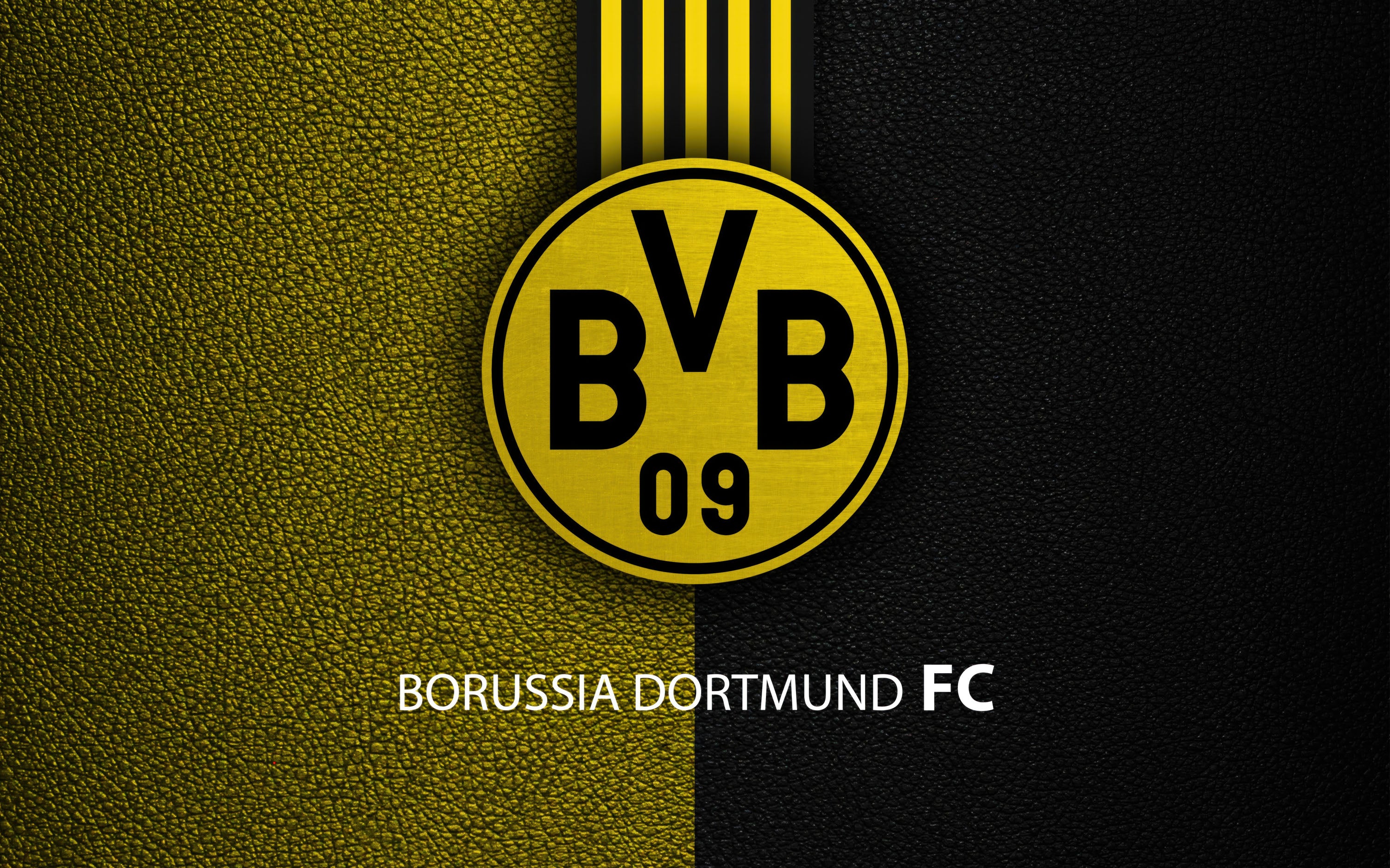 Borussia Dortmund 013 - cuadro decorativo en canvas