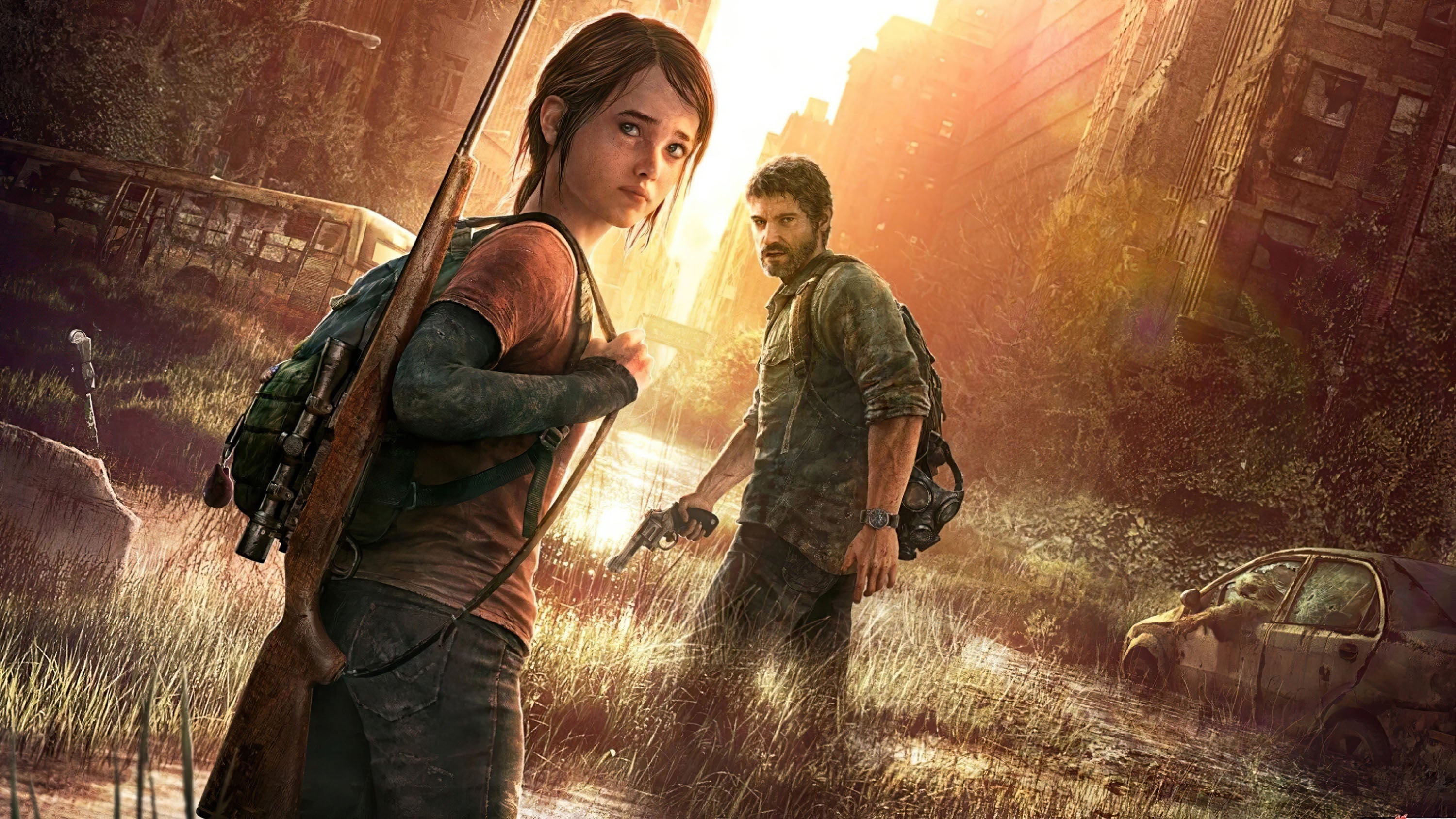 The Last Of Us 017 - cuadro gamer decorativo en canvas