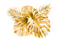 Blanco y Dorado 009 - cuadro decorativo en canvas