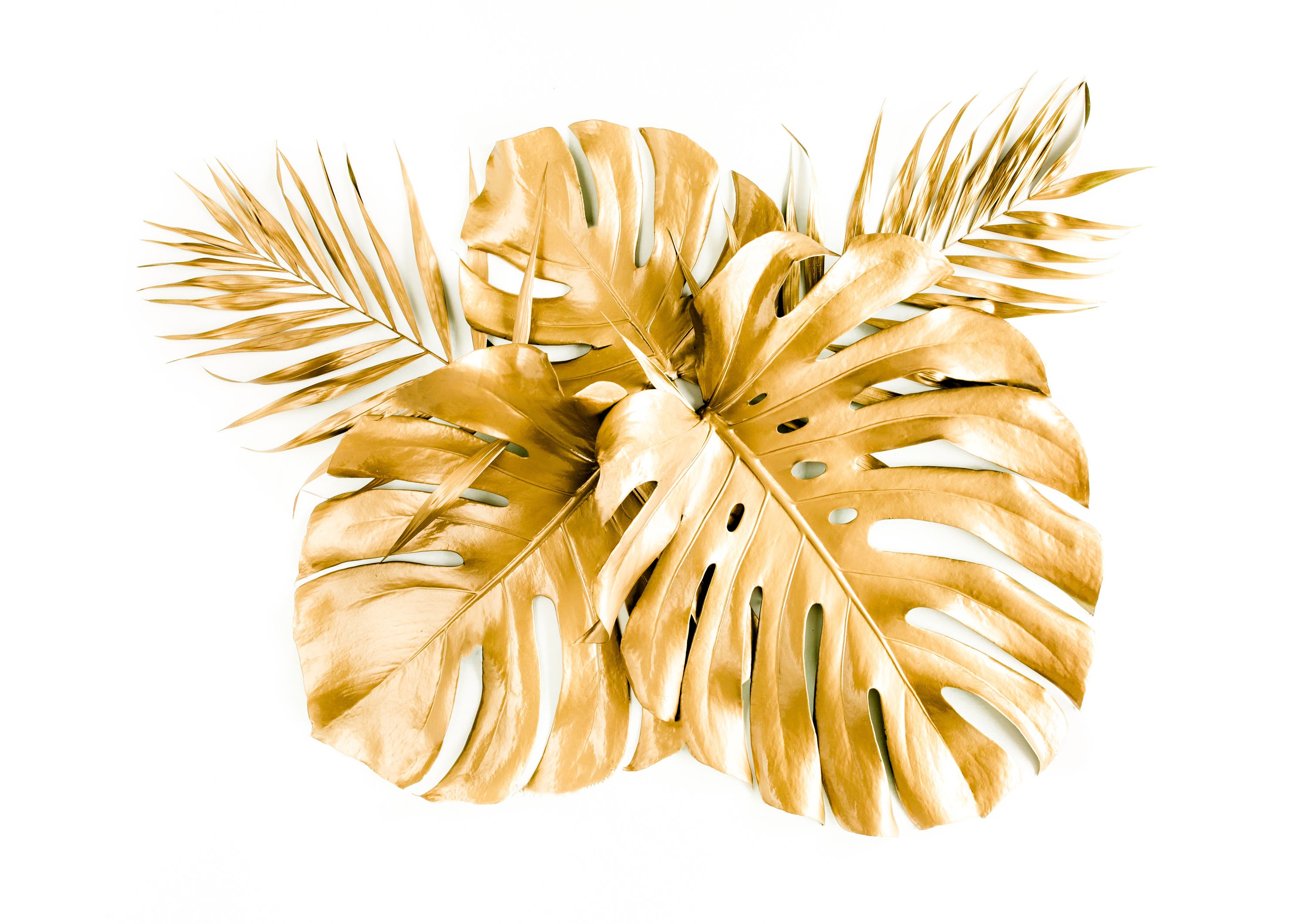 Blanco y Dorado 009 - cuadro decorativo en canvas
