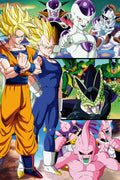 Dragon Ball 016