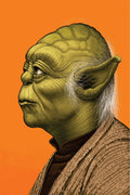 Star Wars 015 - cuadro decorativo en canvas