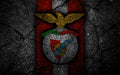 Benfica 007 - cuadro decorativo en canvas