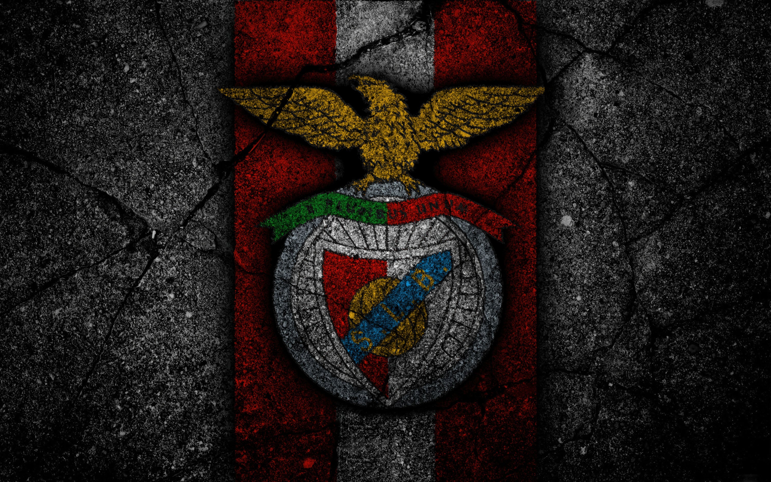 Benfica 007 - cuadro decorativo en canvas