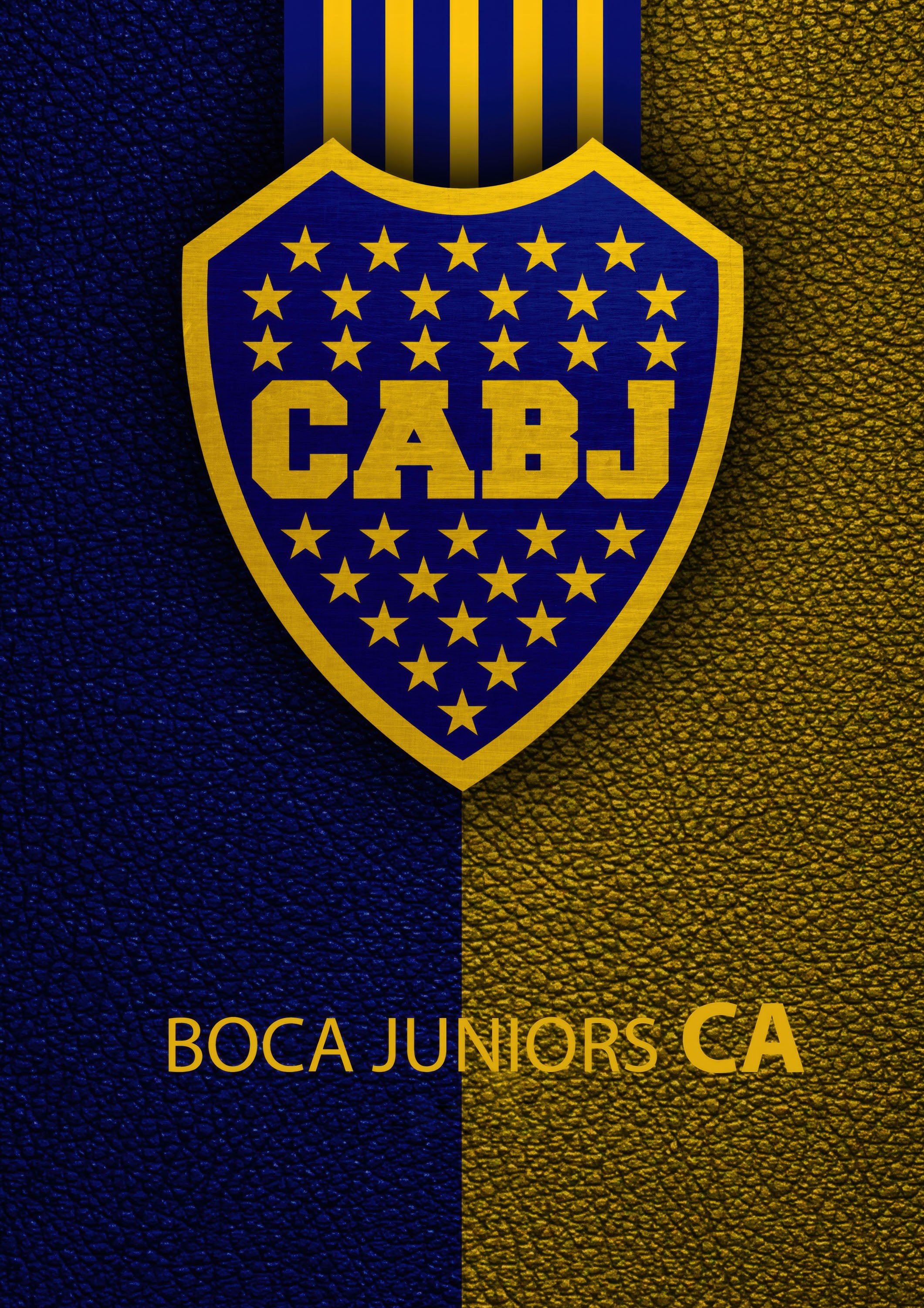 Boca Juniors 003 - cuadro decorativo en canvas