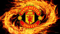 Manchester United 012 - cuadro decorativo en canvas
