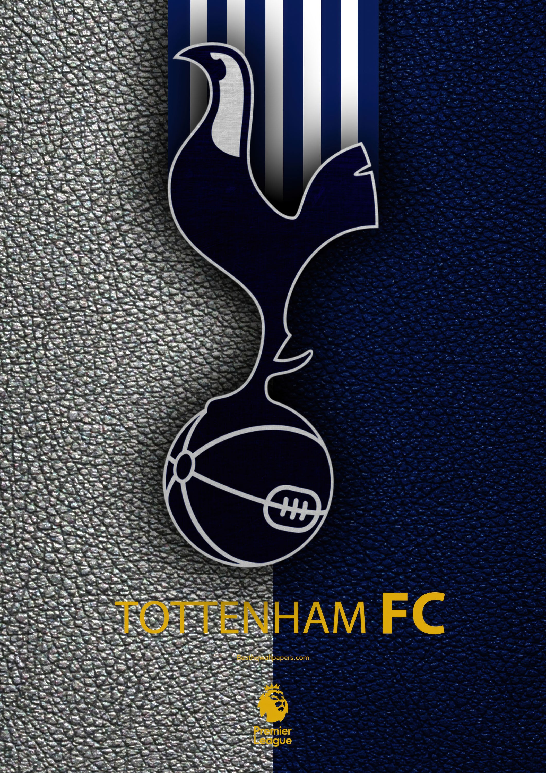 Tottenham 004 - cuadro decorativo en canvas