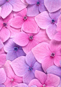 Flores 088 - Cuadro canvas Canvaradas