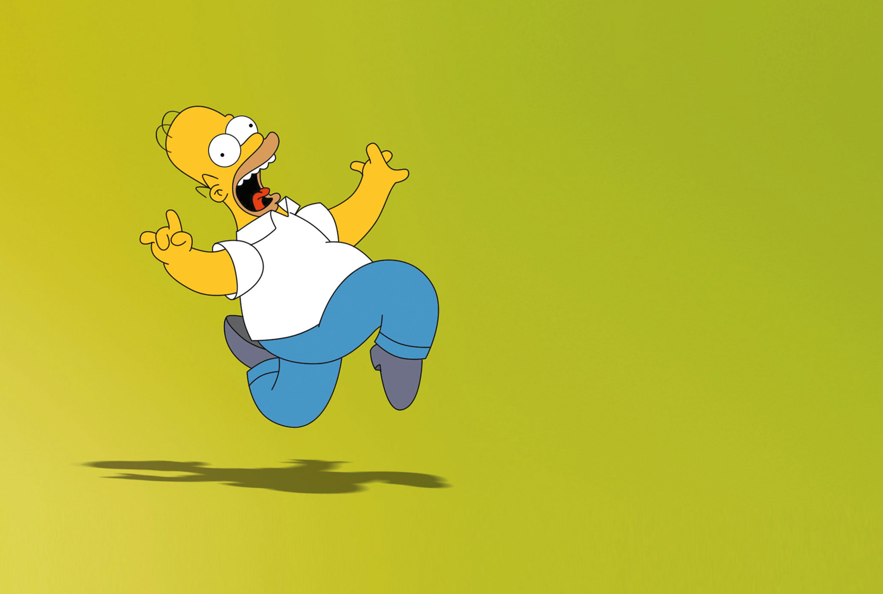 The Simpsons 017