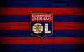 Olympique Lyonnais 009 - cuadro decorativo en canvas