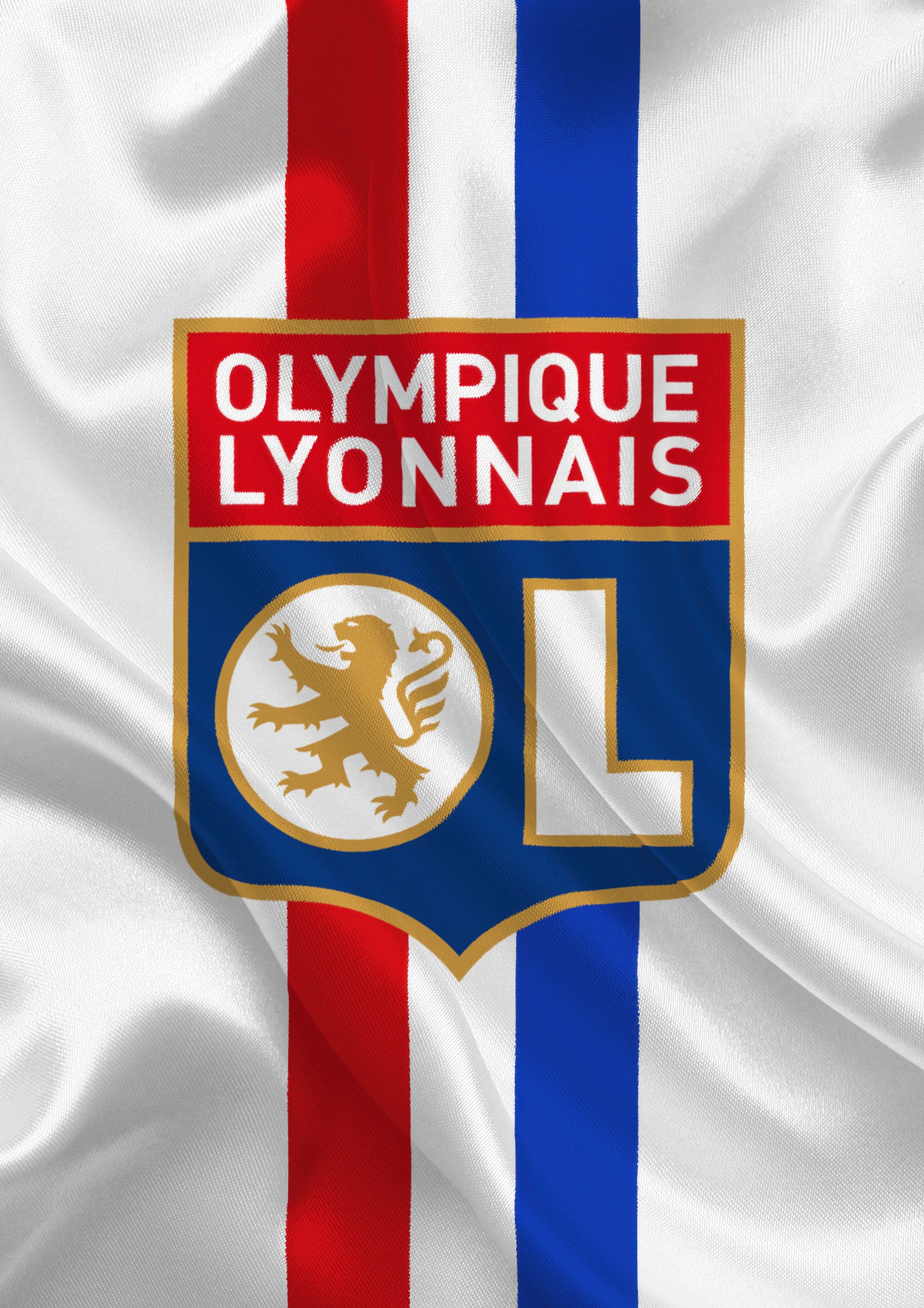 Olympique Lyonnais 004 - cuadro decorativo en canvas