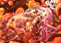 Anime variado 010
