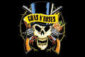 Guns N' Roses 010 - cuadro decorativo en canvas