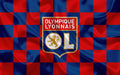 Olympique Lyonnais 005 - cuadro decorativo en canvas