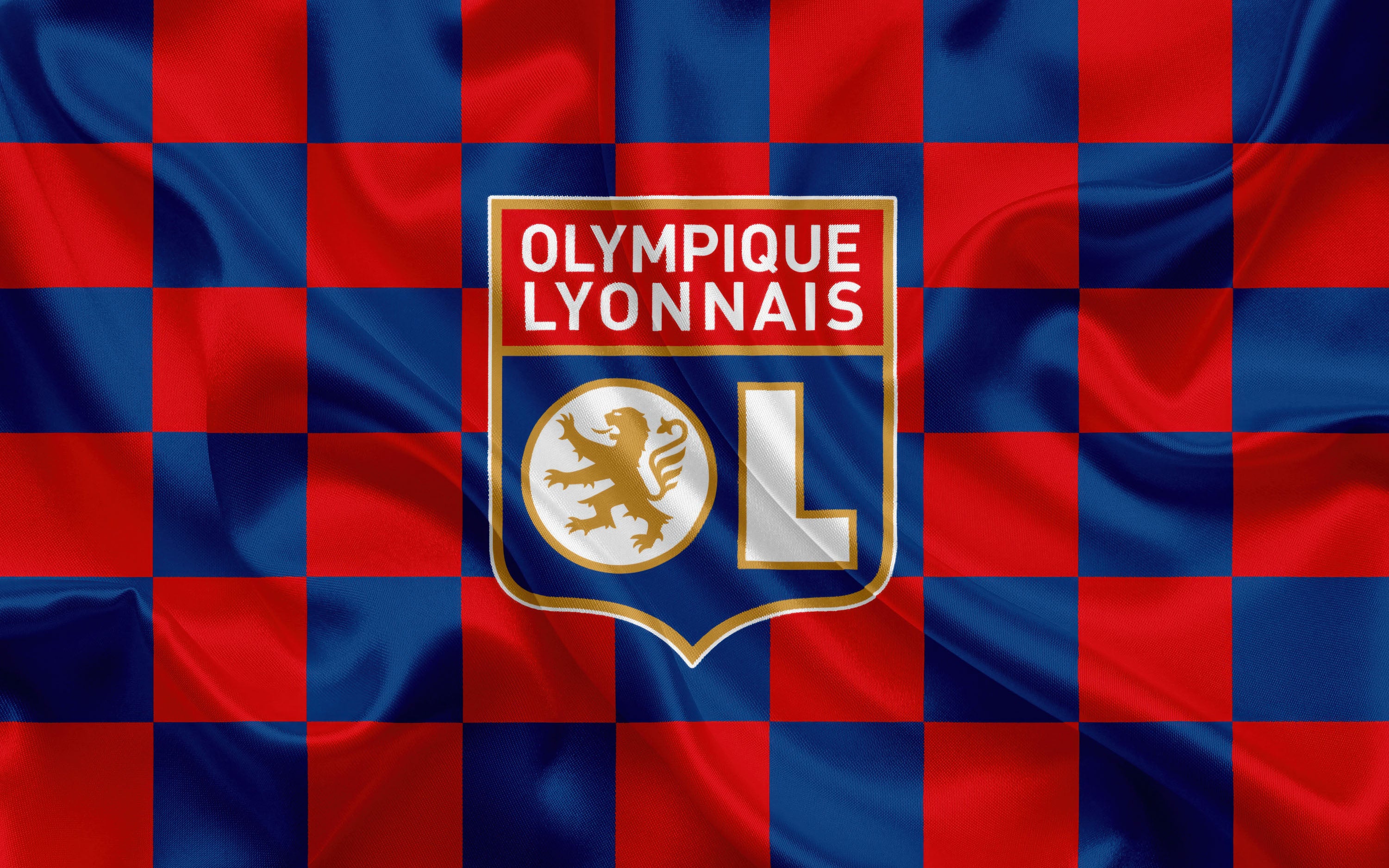 Olympique Lyonnais 005 - cuadro decorativo en canvas