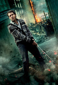 Harry Potter 043 - cuadro decorativo en canvas