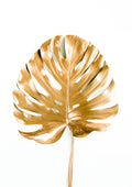 Blanco y Dorado 006 - cuadro decorativo en canvas