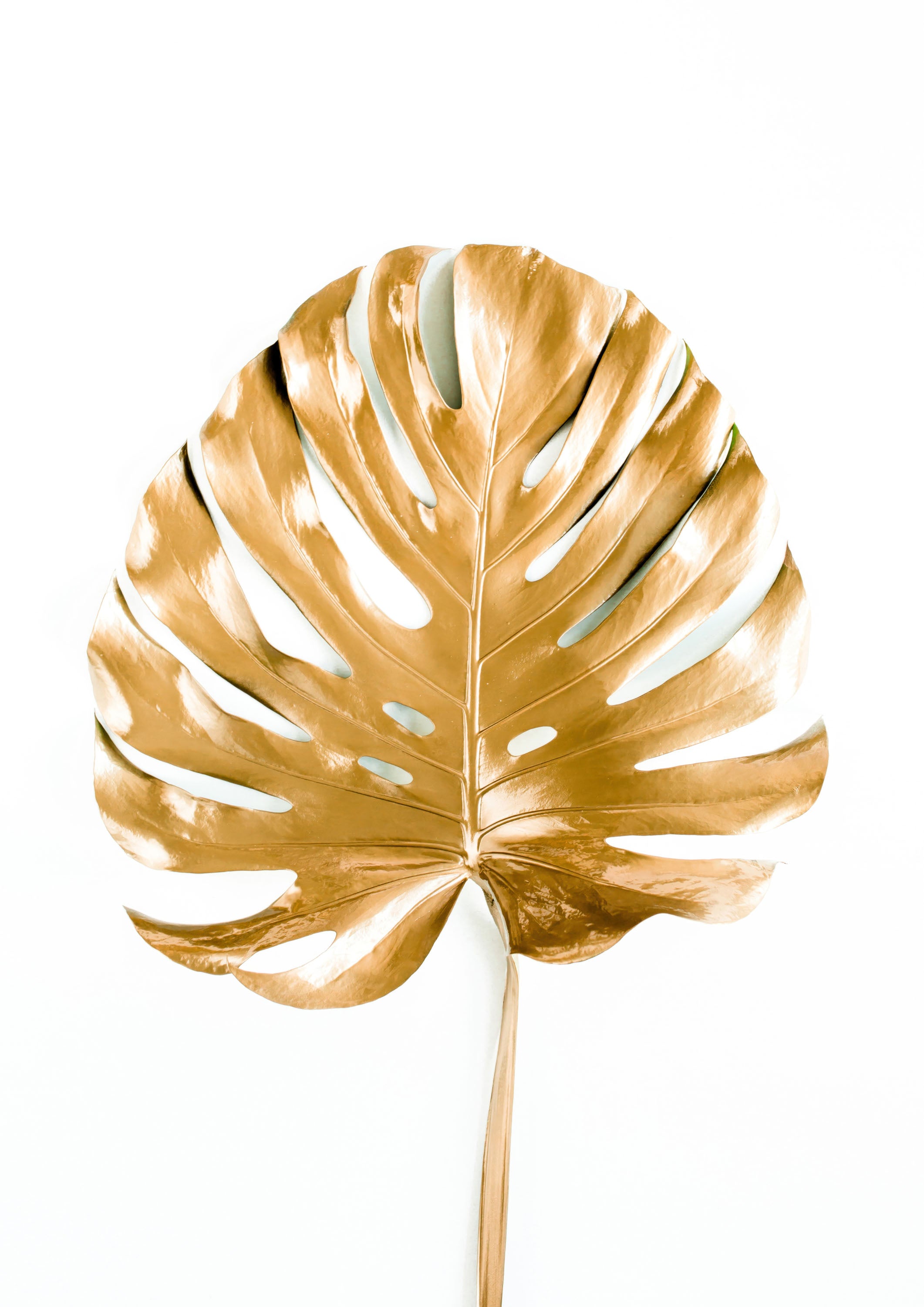 Blanco y Dorado 006 - cuadro decorativo en canvas