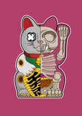 Funko Rayos X 010 - cuadro decorativo en canvas