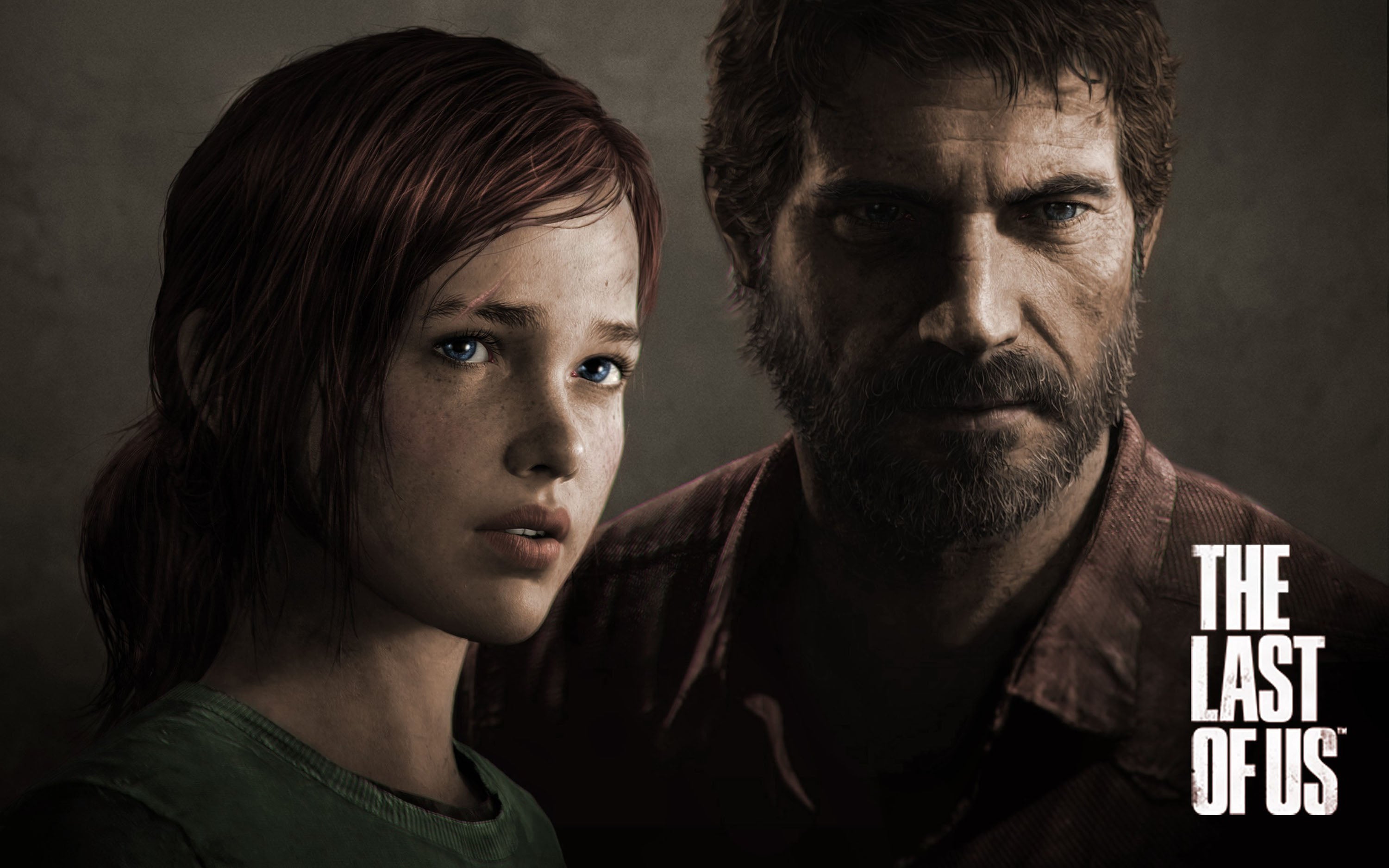 The Last Of Us 008 - cuadro gamer decorativo en canvas