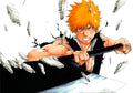 Bleach 002