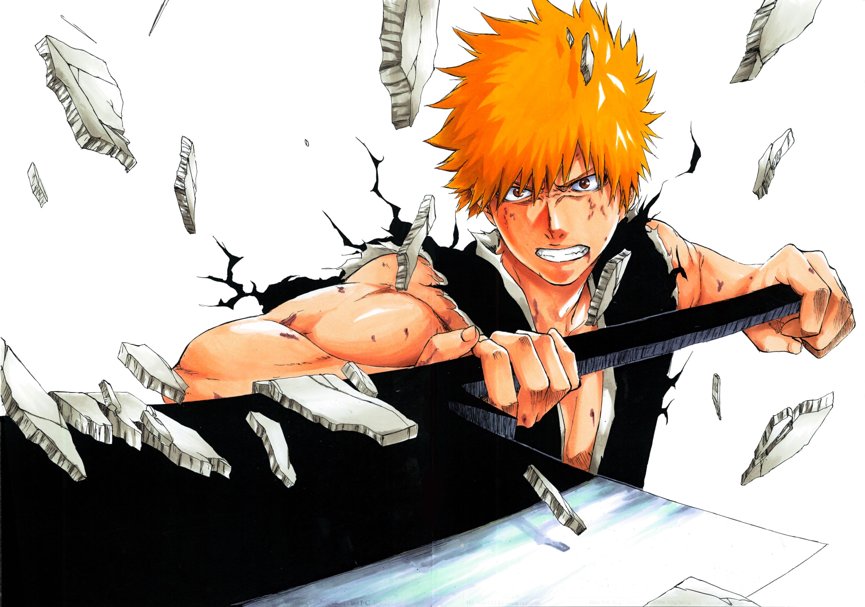 Bleach 002