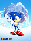 Sonic 025 - cuadro gamer decorativo en canvas