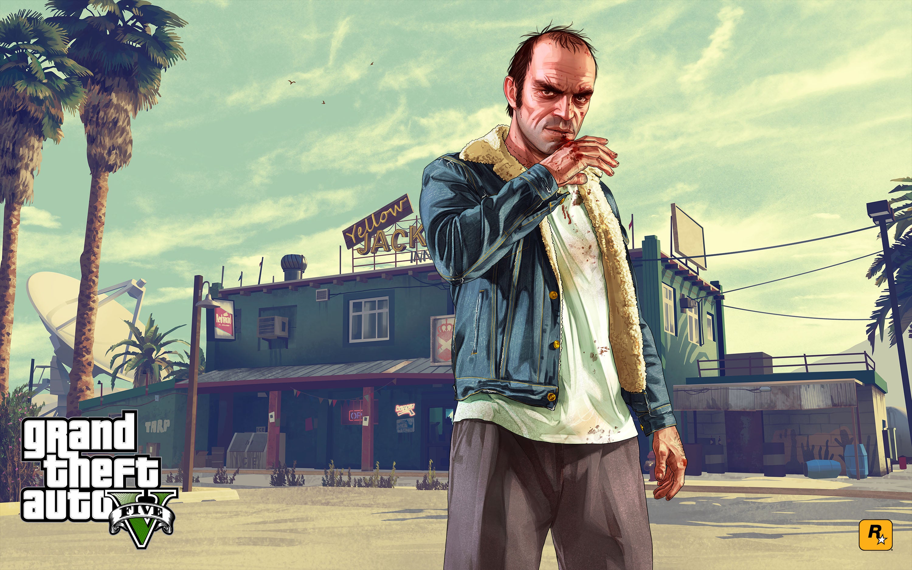 Grand Theft Auto 009 - cuadro gamer decorativo en canvas