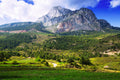 Naturaleza 053 - Cuadro canvas Canvaradas
