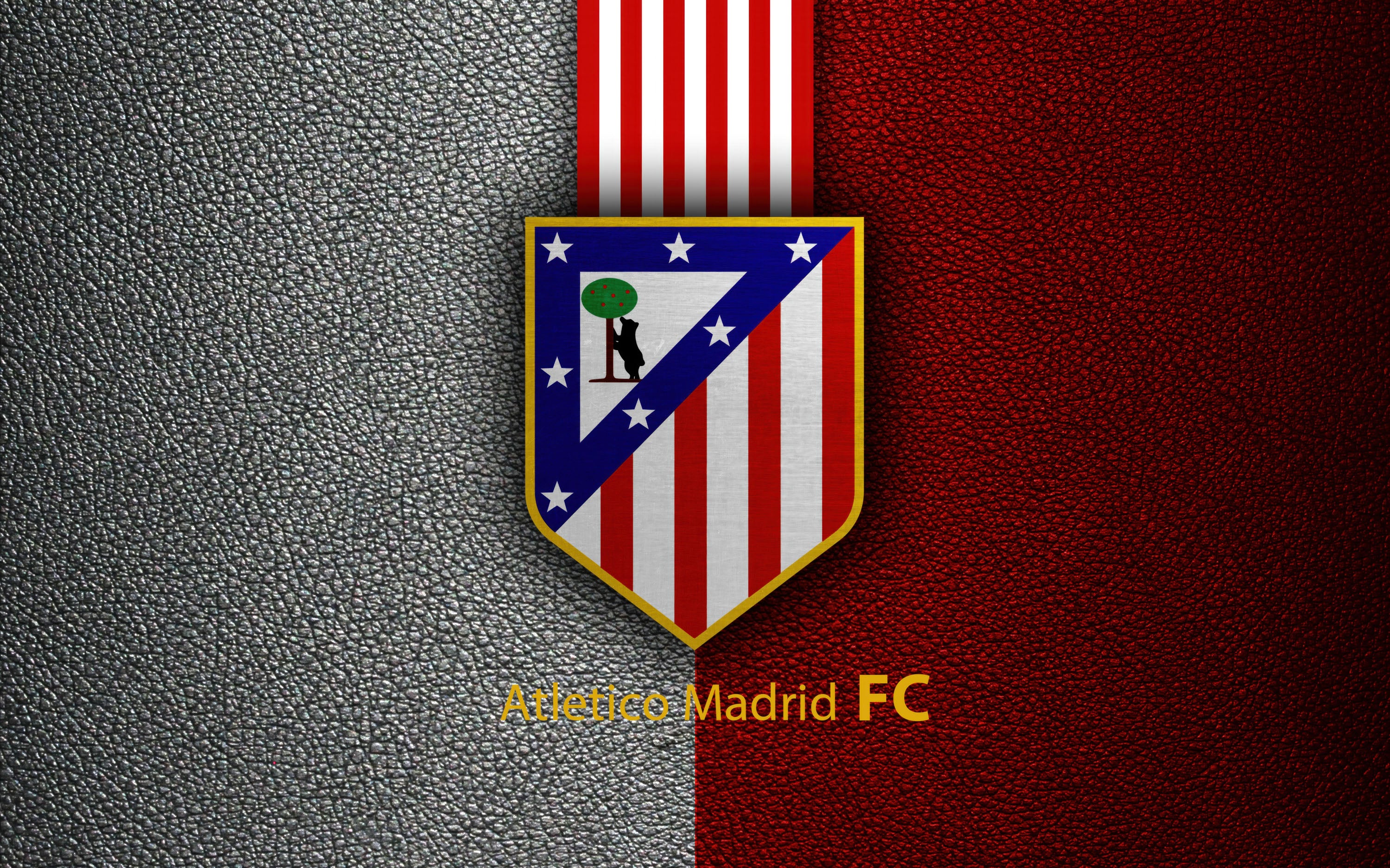 Atlético de Madrid 009 - cuadro decorativo en canvas