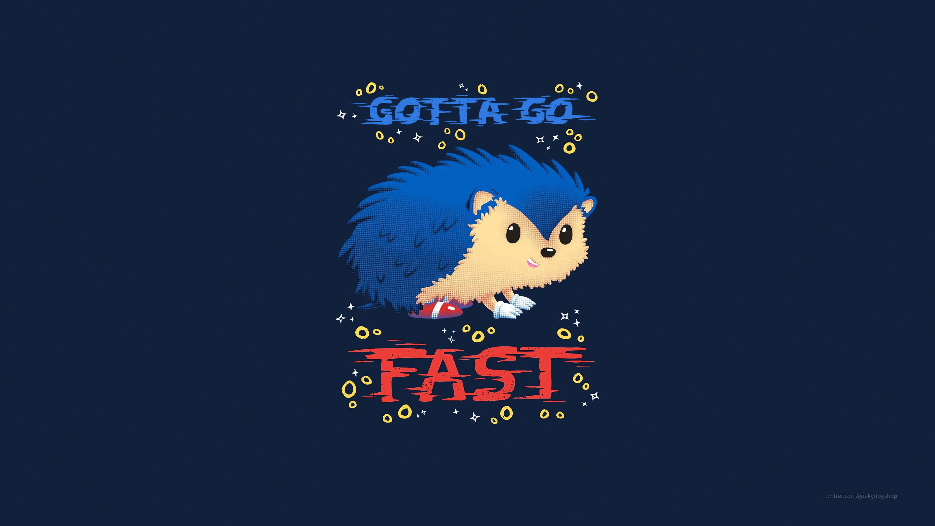 Sonic 017 - cuadro gamer decorativo en canvas