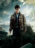 Harry Potter 051 - cuadro decorativo en canvas