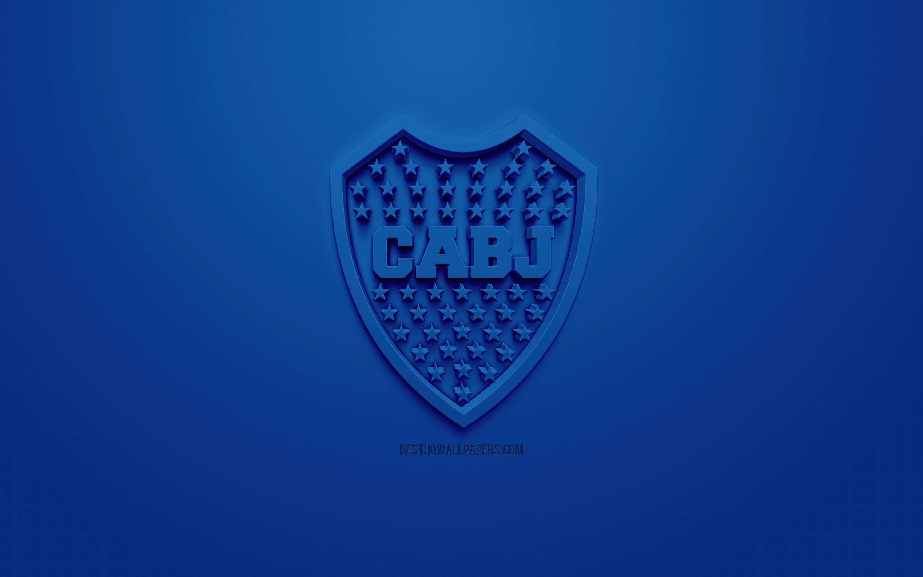 Boca Juniors 016 - cuadro decorativo en canvas