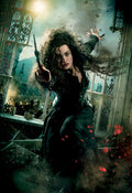 Harry Potter 038 - cuadro decorativo en canvas