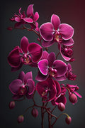 Flores 221 - Cuadro canvas Canvaradas