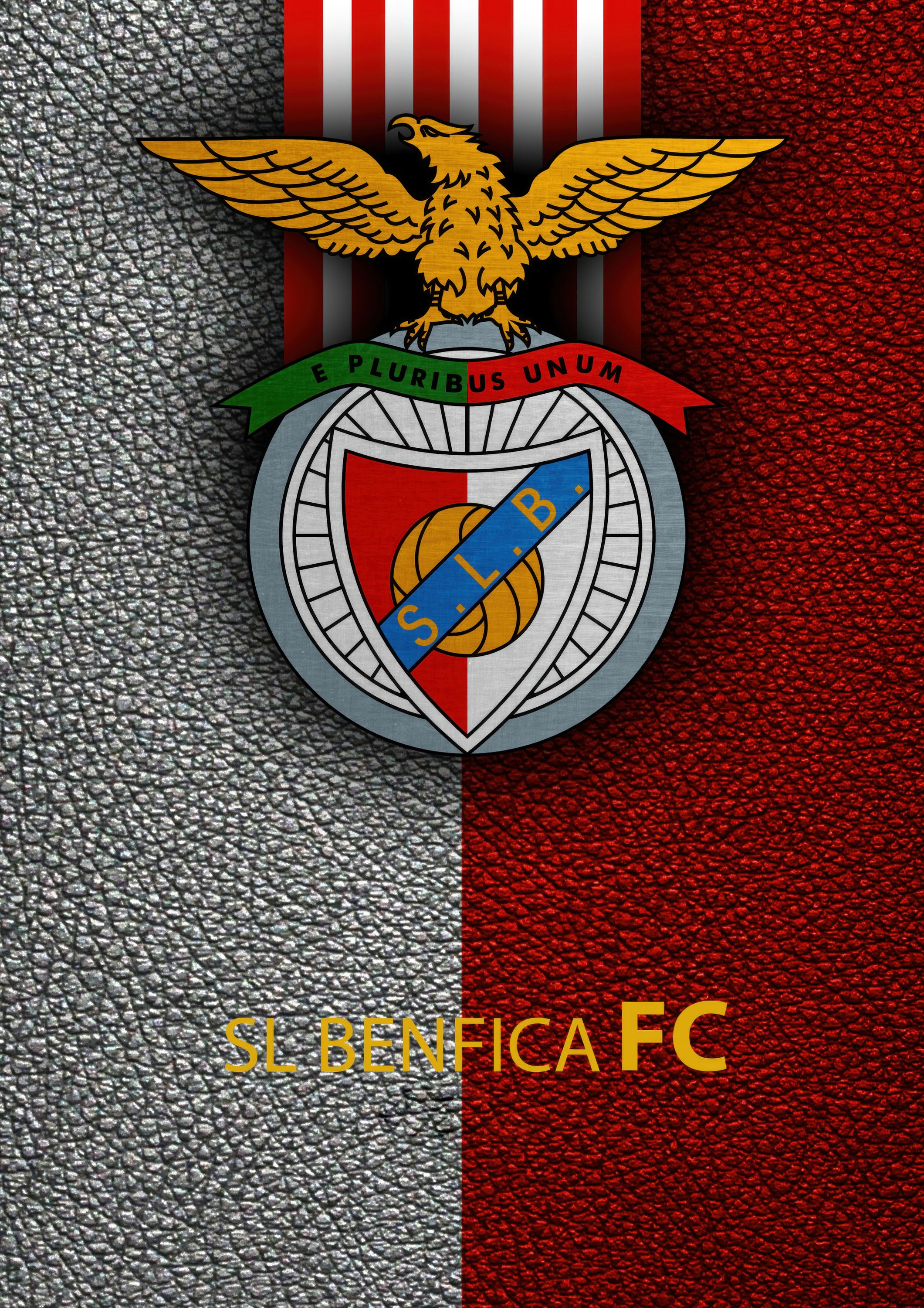 Benfica 002 - cuadro decorativo en canvas