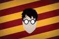 Harry Potter 026 - cuadro decorativo en canvas