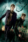 Harry Potter 039 - cuadro decorativo en canvas