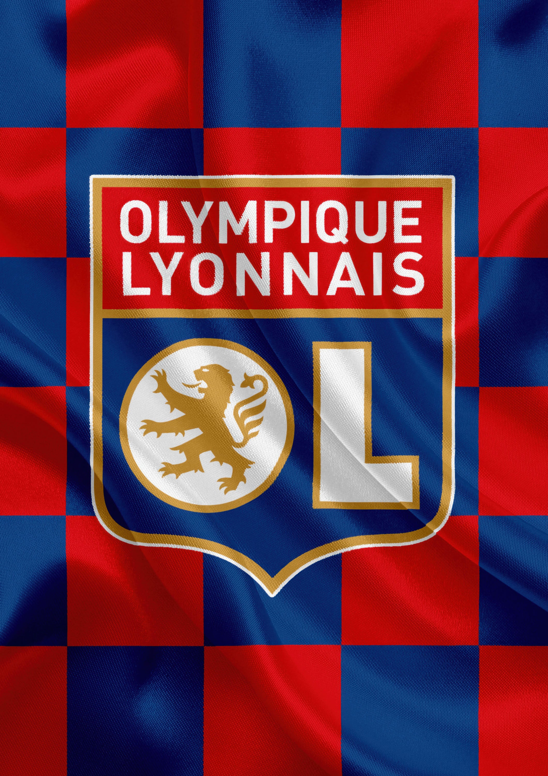 Olympique Lyonnais 001 - cuadro decorativo en canvas
