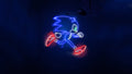 Sonic 015 - cuadro gamer decorativo en canvas