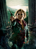 Harry Potter 045 - cuadro decorativo en canvas