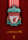 Liverpool 003 - cuadro decorativo en canvas