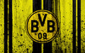 Borussia Dortmund 014 - cuadro decorativo en canvas