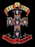 Guns N' Roses 006 - cuadro decorativo en canvas