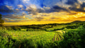 Naturaleza 052 - Cuadro canvas Canvaradas