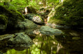 Naturaleza 074 - Cuadro canvas Canvaradas