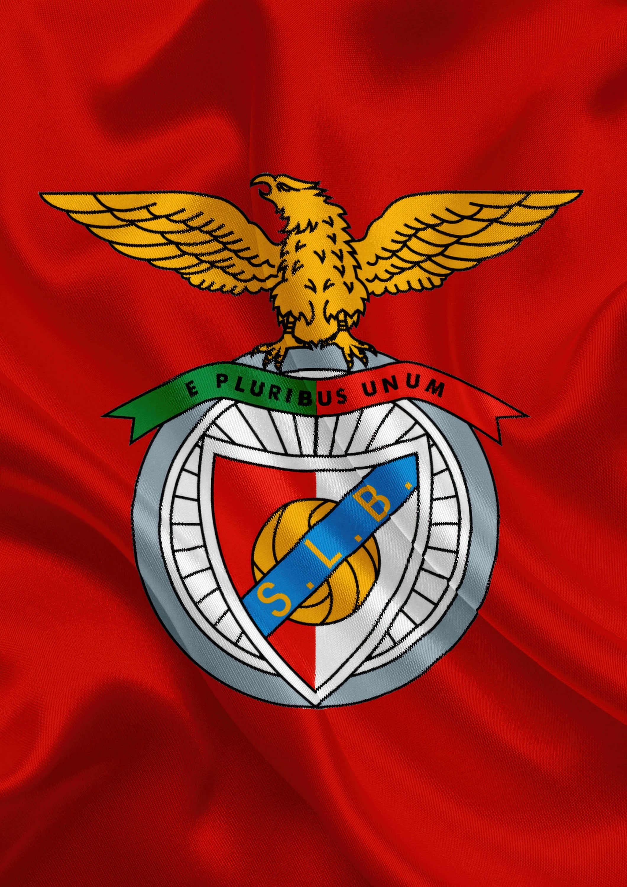 Benfica 003 - cuadro decorativo en canvas