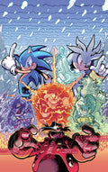 Sonic 016 - cuadro gamer decorativo en canvas
