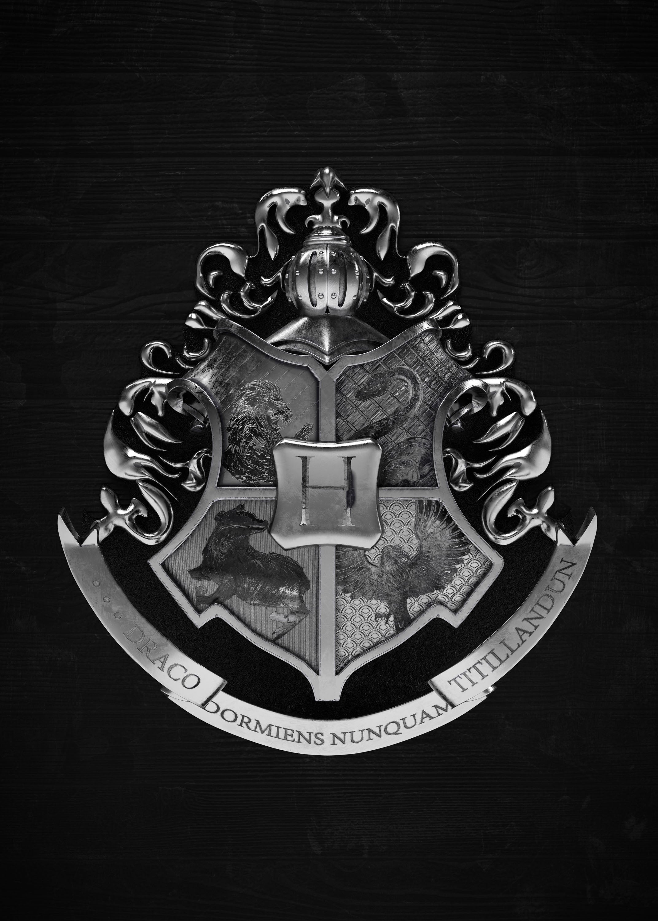 Harry Potter 008 - cuadro decorativo en canvas