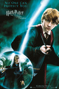 Harry Potter 029 - cuadro decorativo en canvas